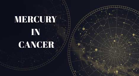 Astrologer consultation online